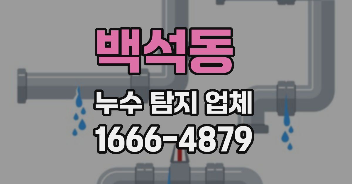 백석동 누수 탐지 업체
