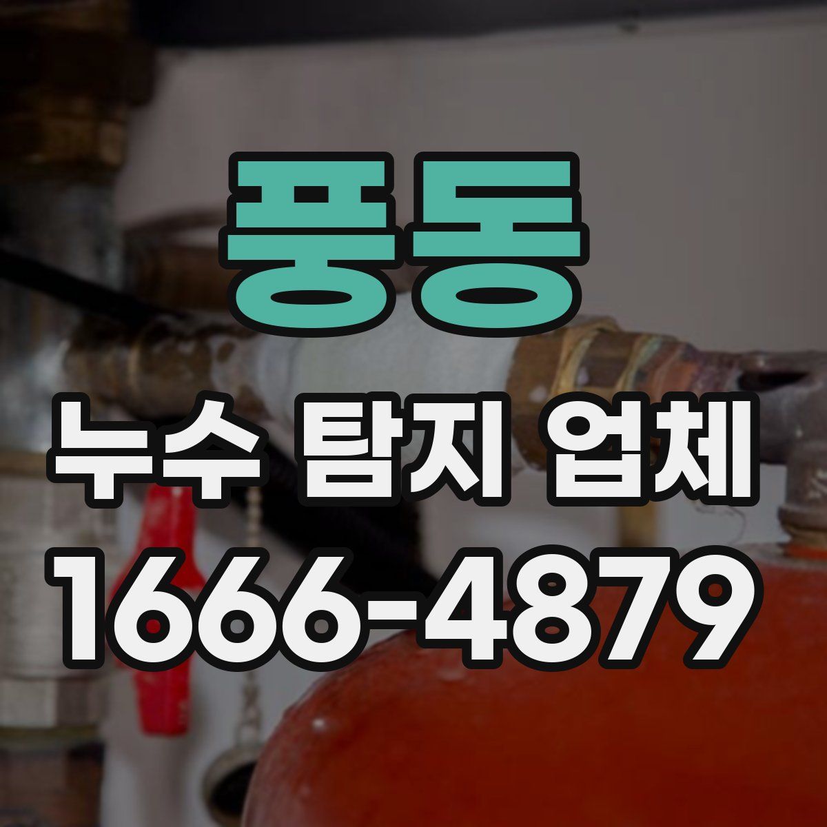 풍동 누수 탐지 업체