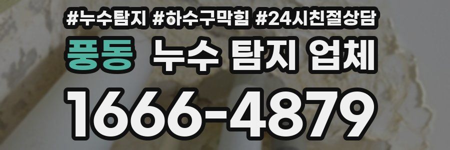 풍동 누수 탐지 업체