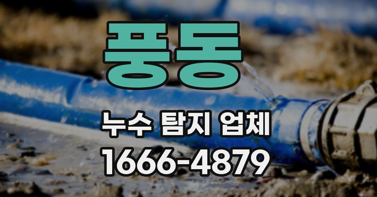 풍동 누수 탐지 업체