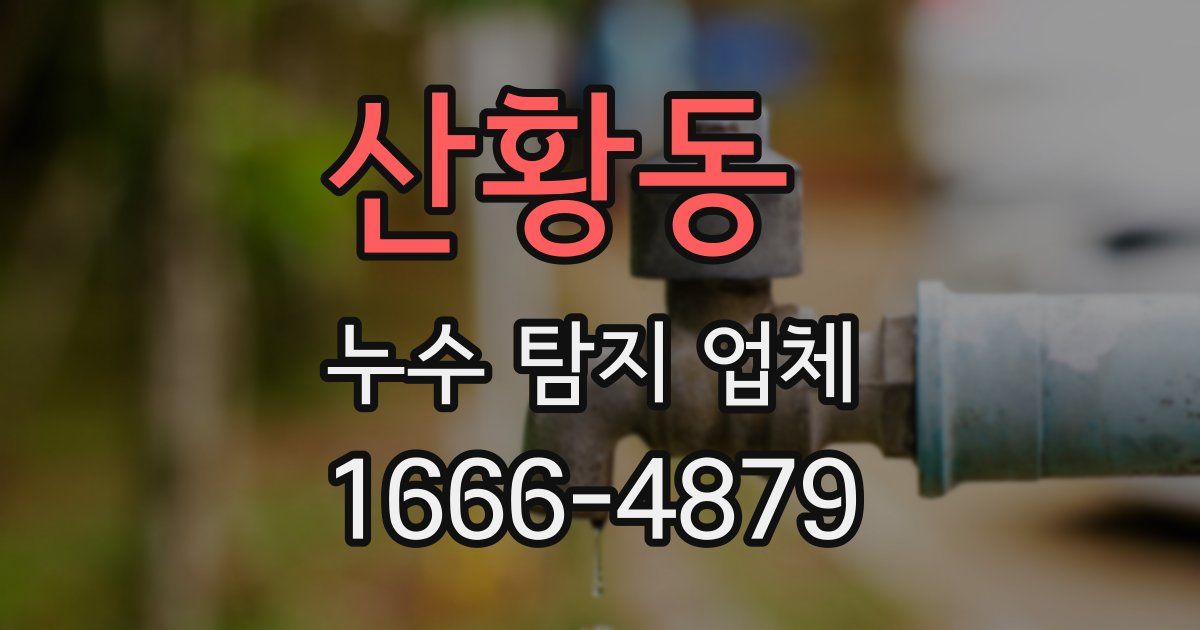 산황동 누수 탐지 업체