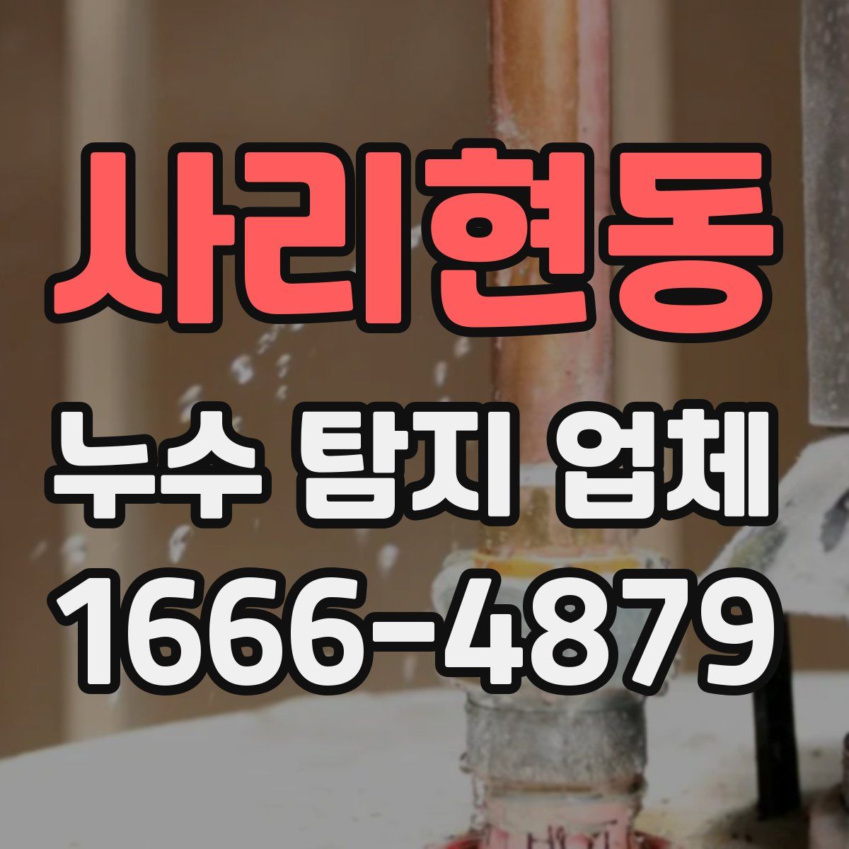 사리현동 누수 탐지 업체