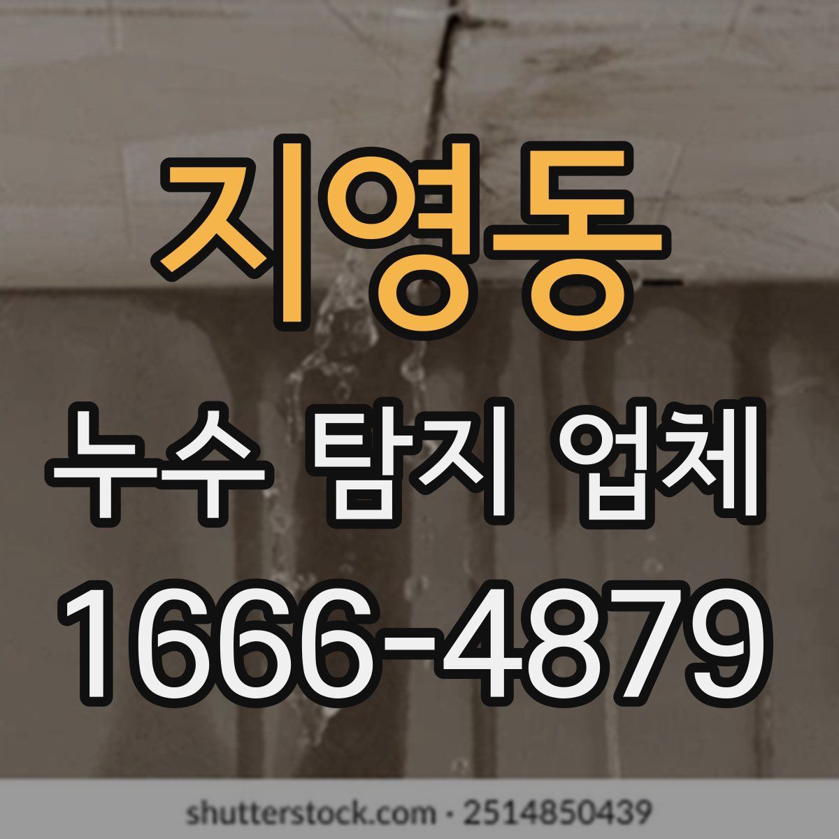 지영동 누수 탐지 업체