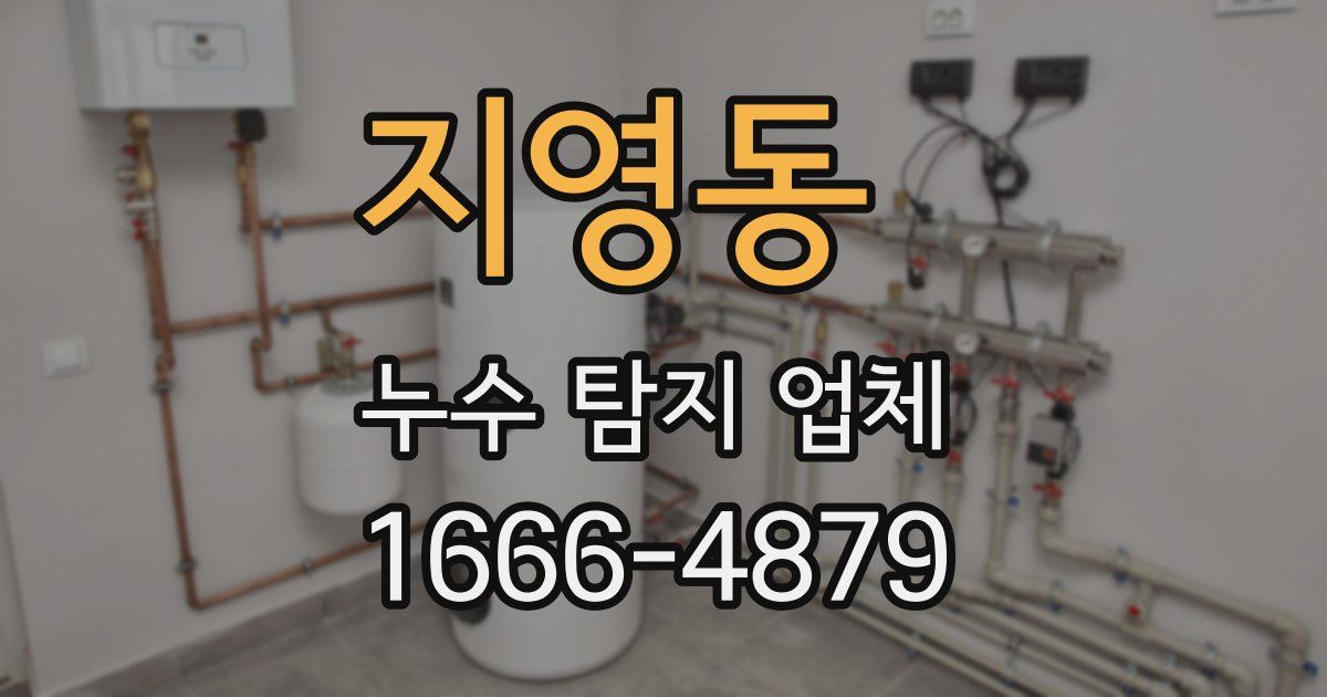지영동 누수 탐지 업체