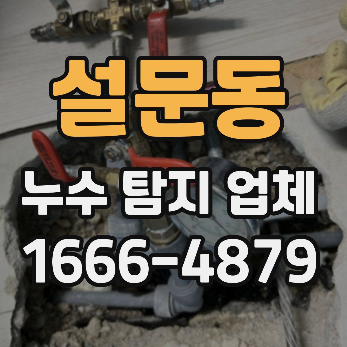 설문동 누수 탐지 업체
