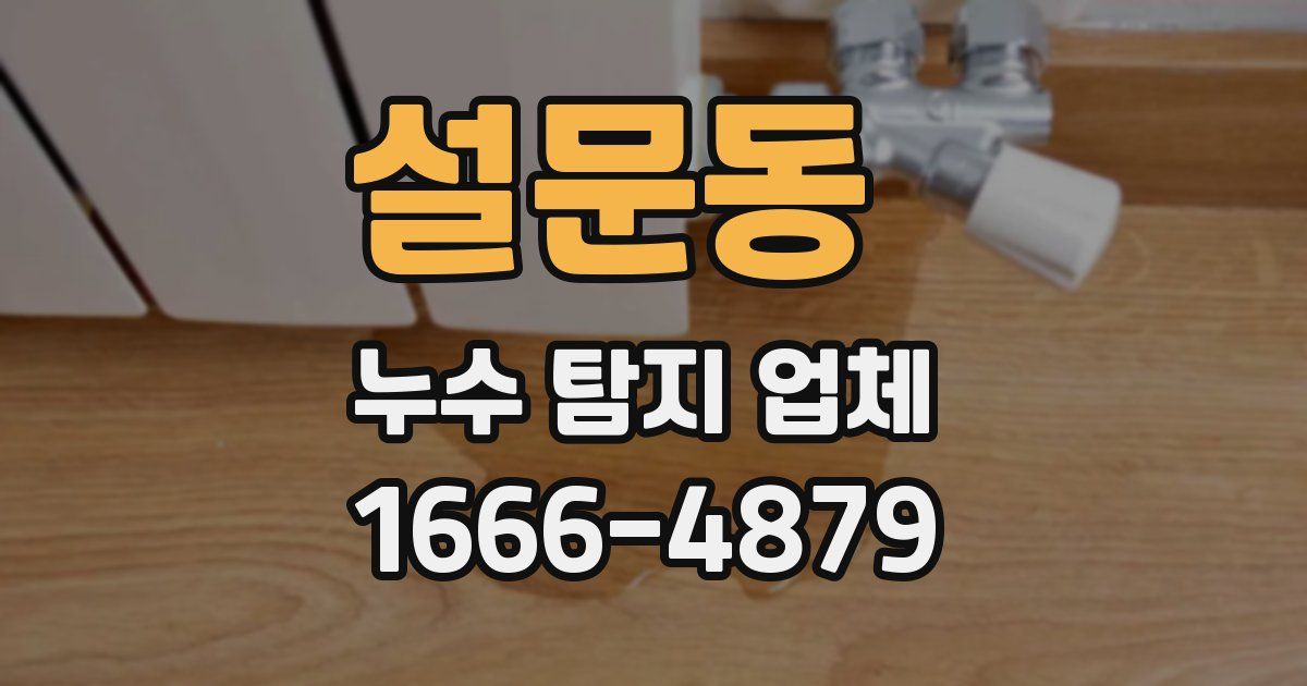 설문동 누수 탐지 업체