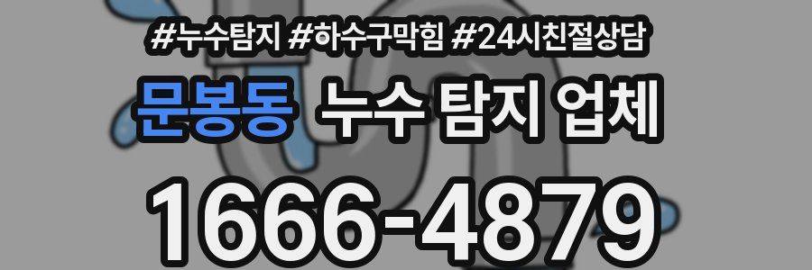 문봉동 누수 탐지 업체