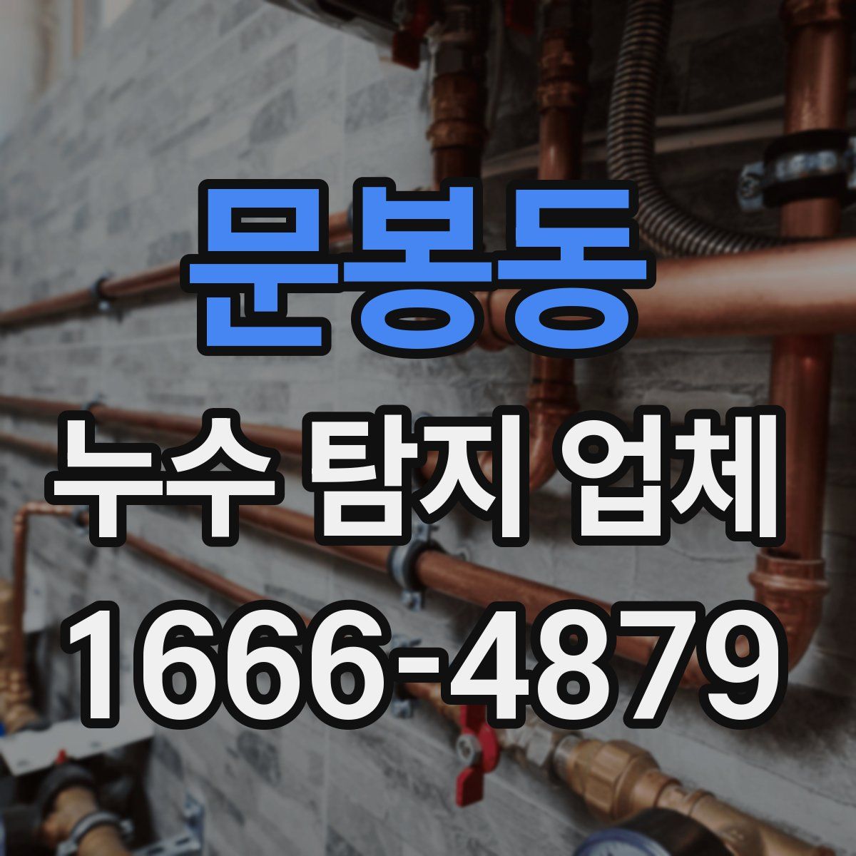 문봉동 누수 탐지 업체