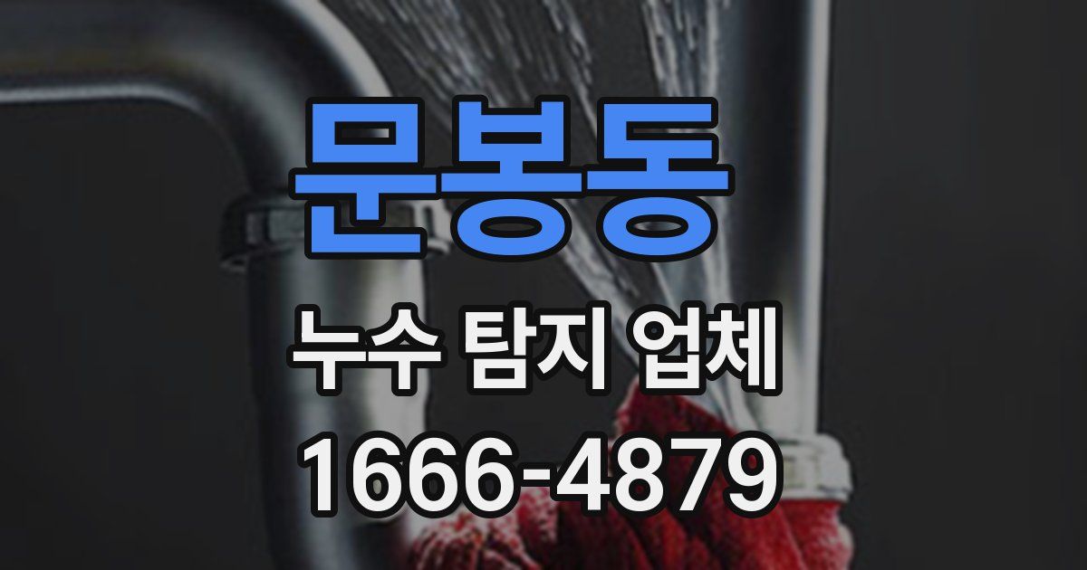 문봉동 누수 탐지 업체