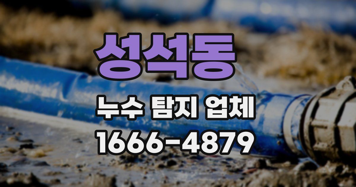 성석동 누수 탐지 업체