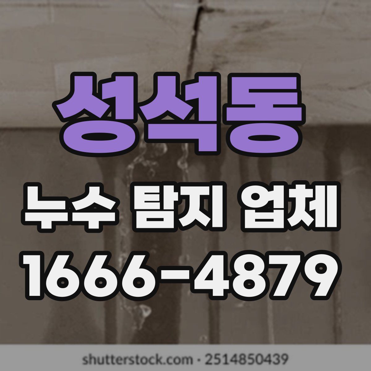 성석동 누수 탐지 업체