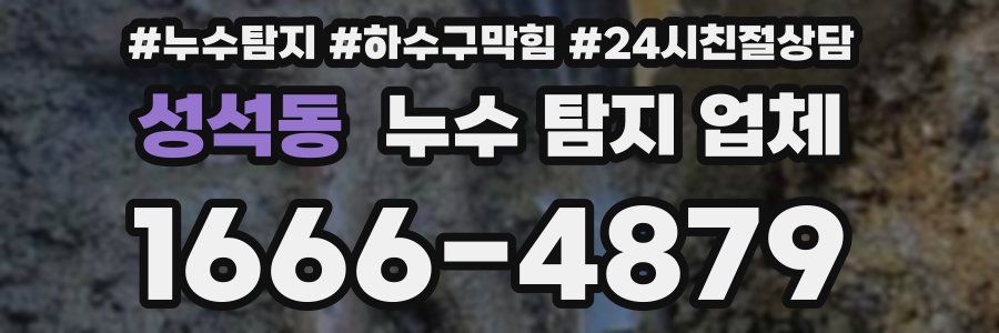 성석동 누수 탐지 업체