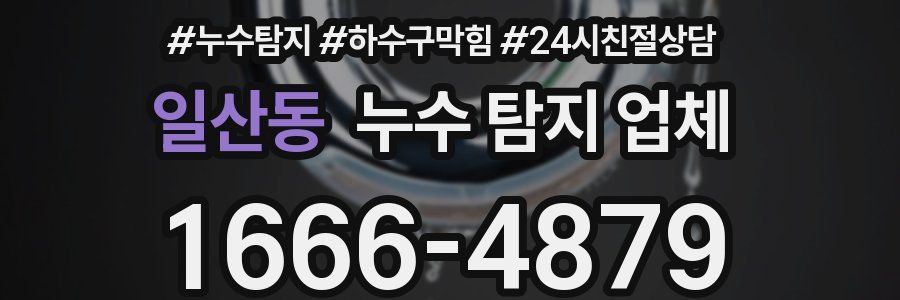 일산동 누수 탐지 업체