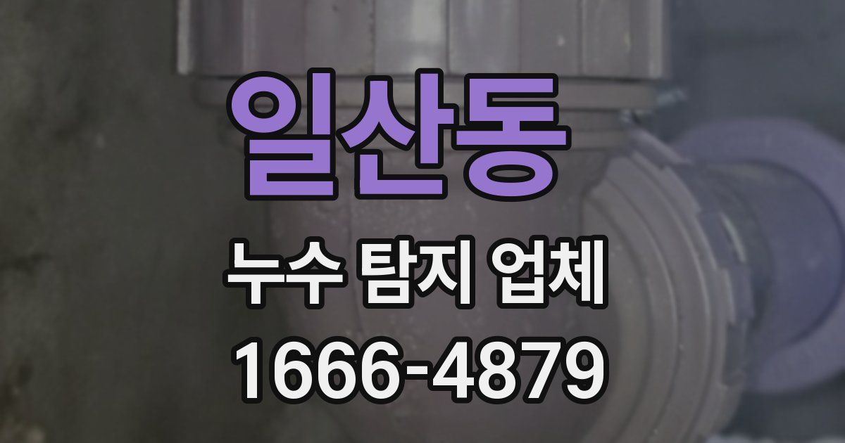 일산동 누수 탐지 업체