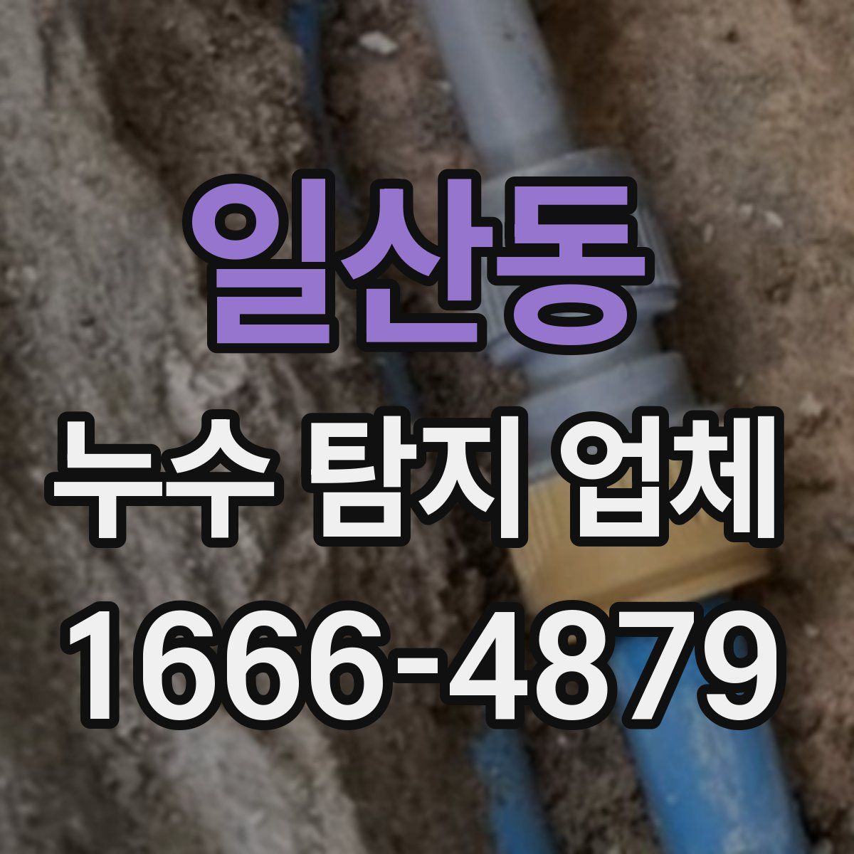 일산동 누수 탐지 업체