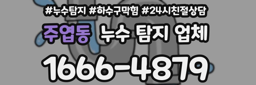 주엽동 누수 탐지 업체