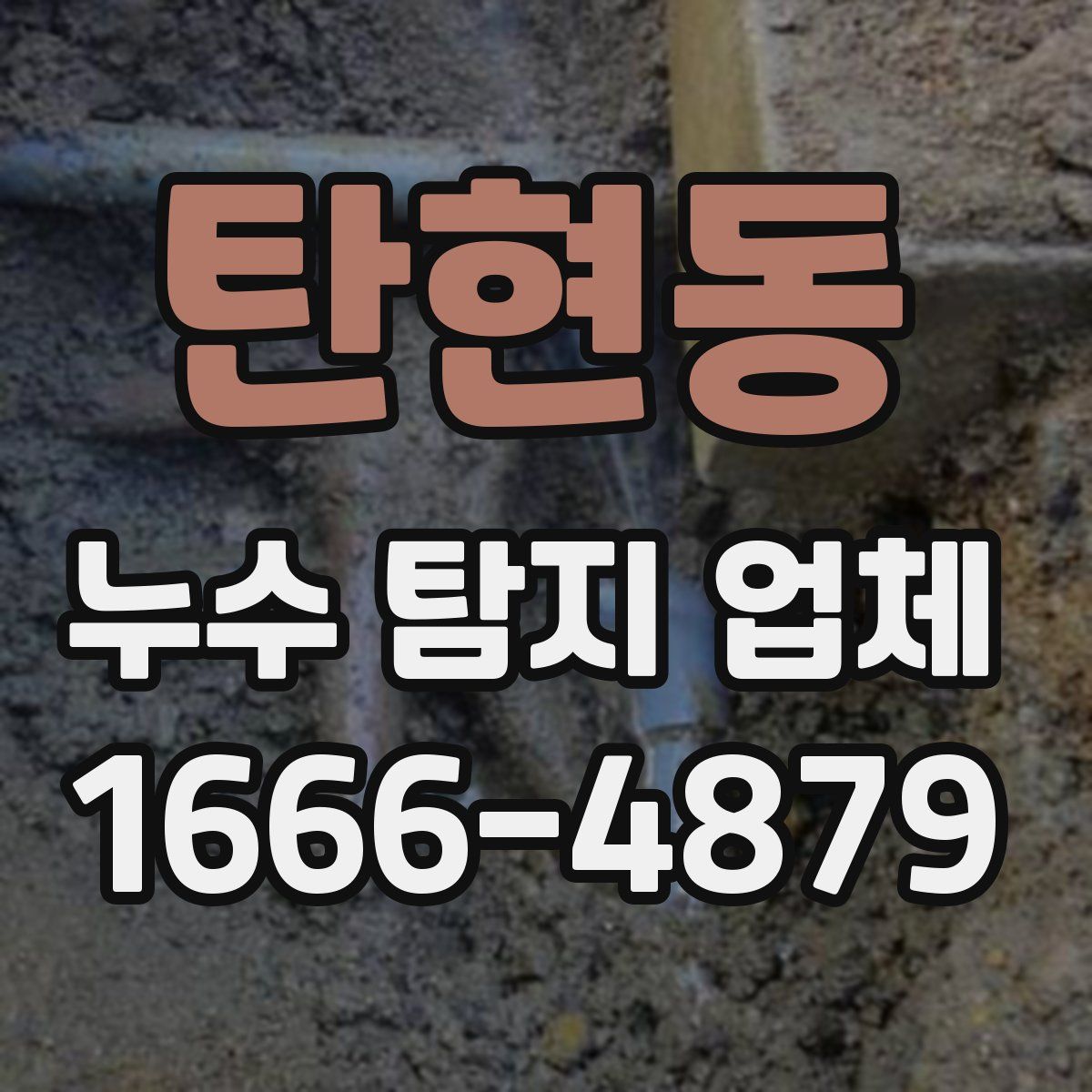 탄현동 누수 탐지 업체