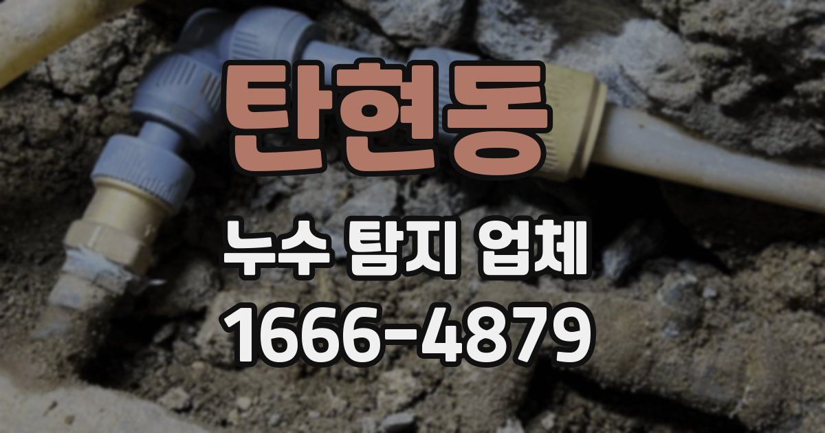 탄현동 누수 탐지 업체