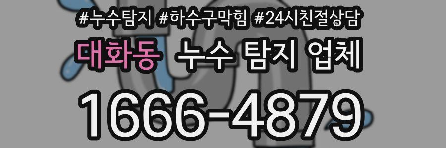 대화동 누수 탐지 업체