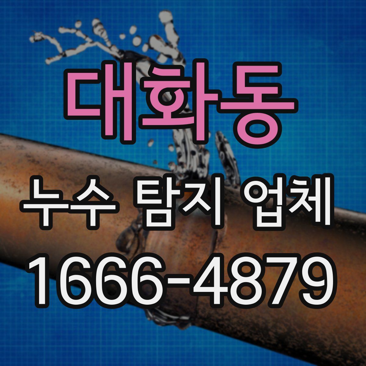 대화동 누수 탐지 업체