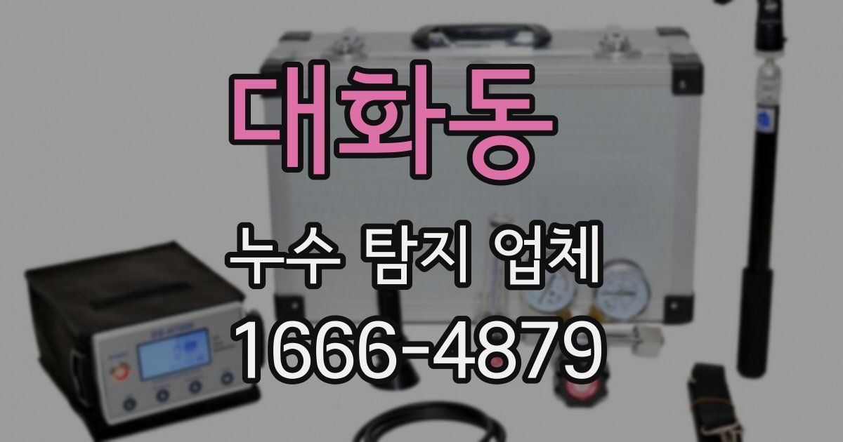 대화동 누수 탐지 업체