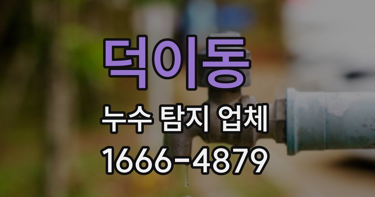 덕이동 누수 탐지 업체