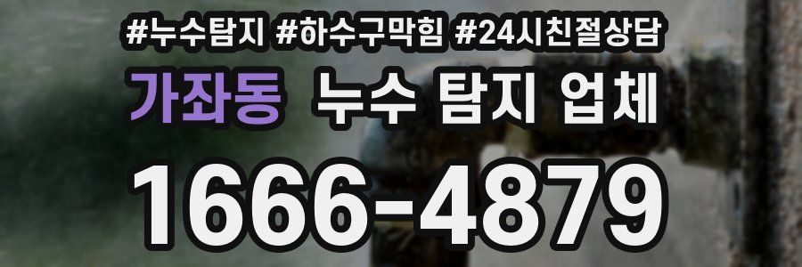 가좌동 누수 탐지 업체