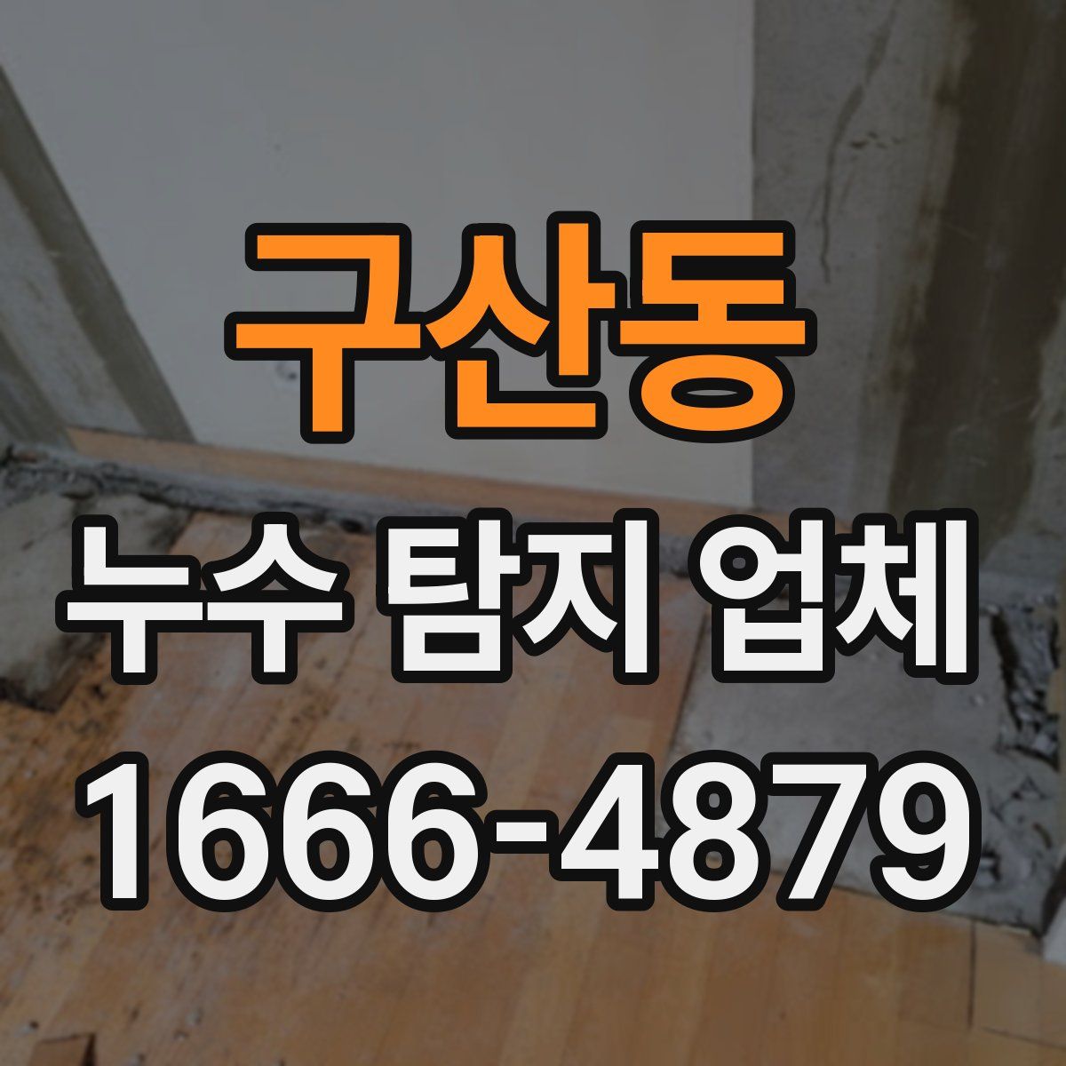 구산동 누수 탐지 업체
