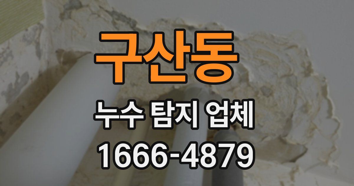 구산동 누수 탐지 업체