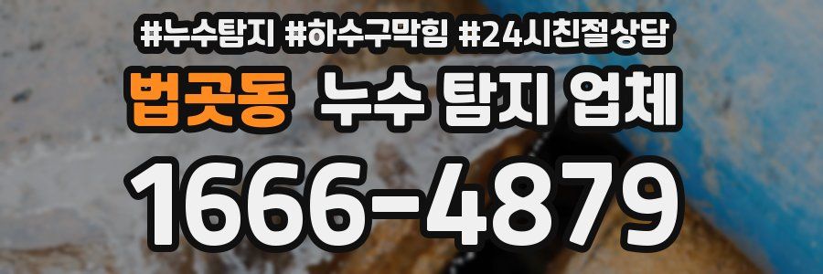 법곳동 누수 탐지 업체