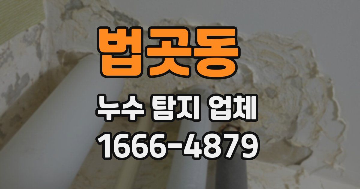 법곳동 누수 탐지 업체