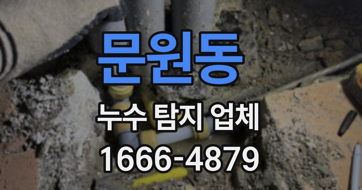 문원동 누수 탐지 업체