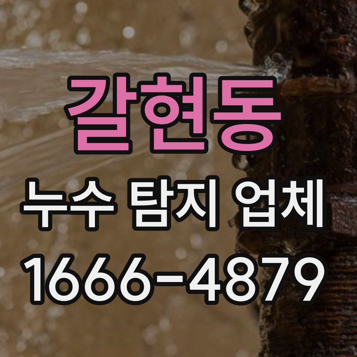 갈현동 누수 탐지 업체