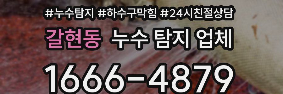갈현동 누수 탐지 업체