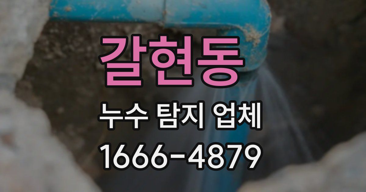 갈현동 누수 탐지 업체