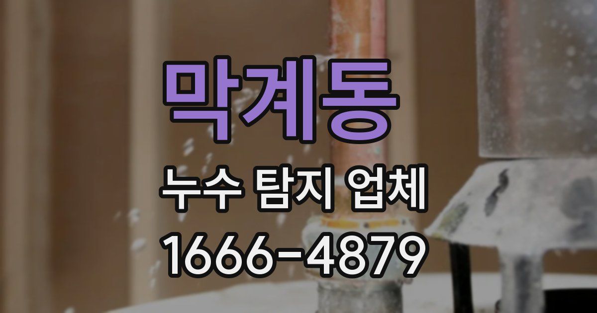 막계동 누수 탐지 업체