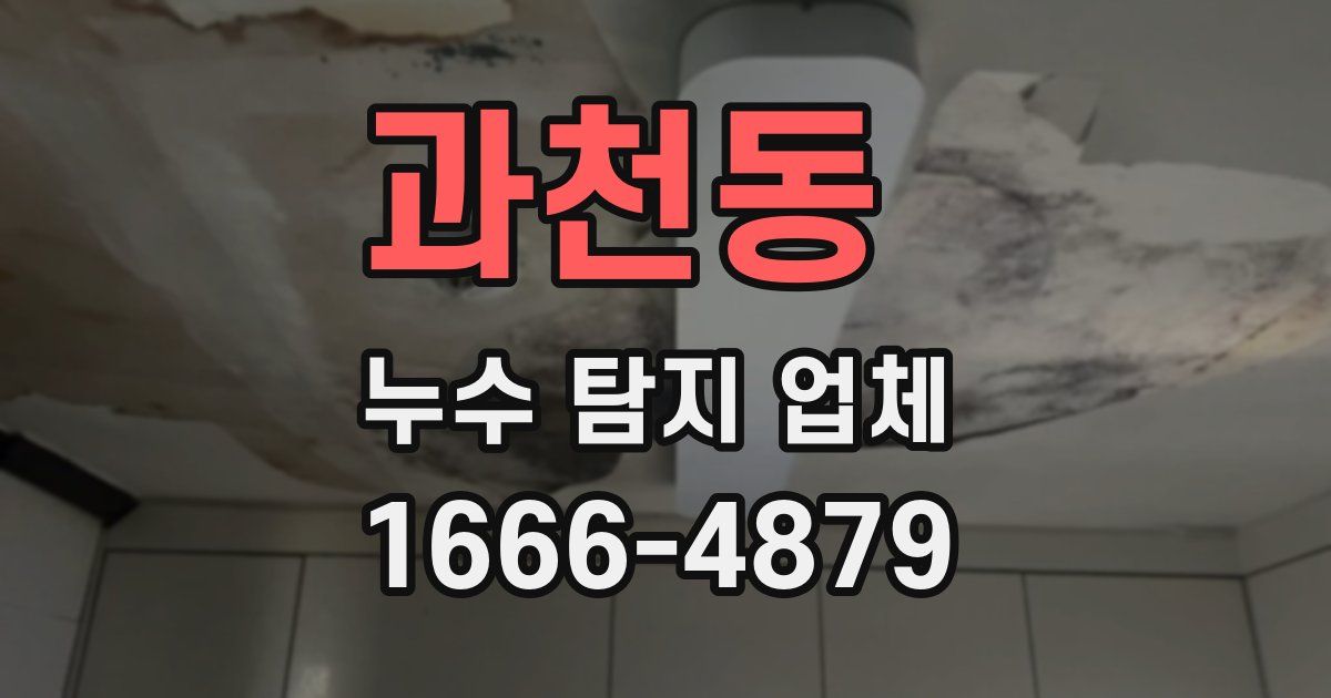 과천동 누수 탐지 업체