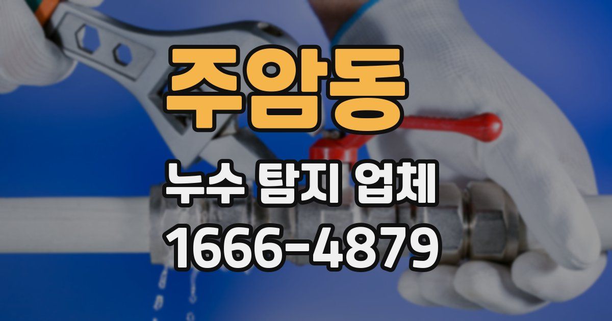 주암동 누수 탐지 업체