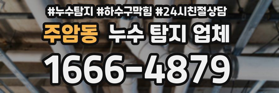 주암동 누수 탐지 업체