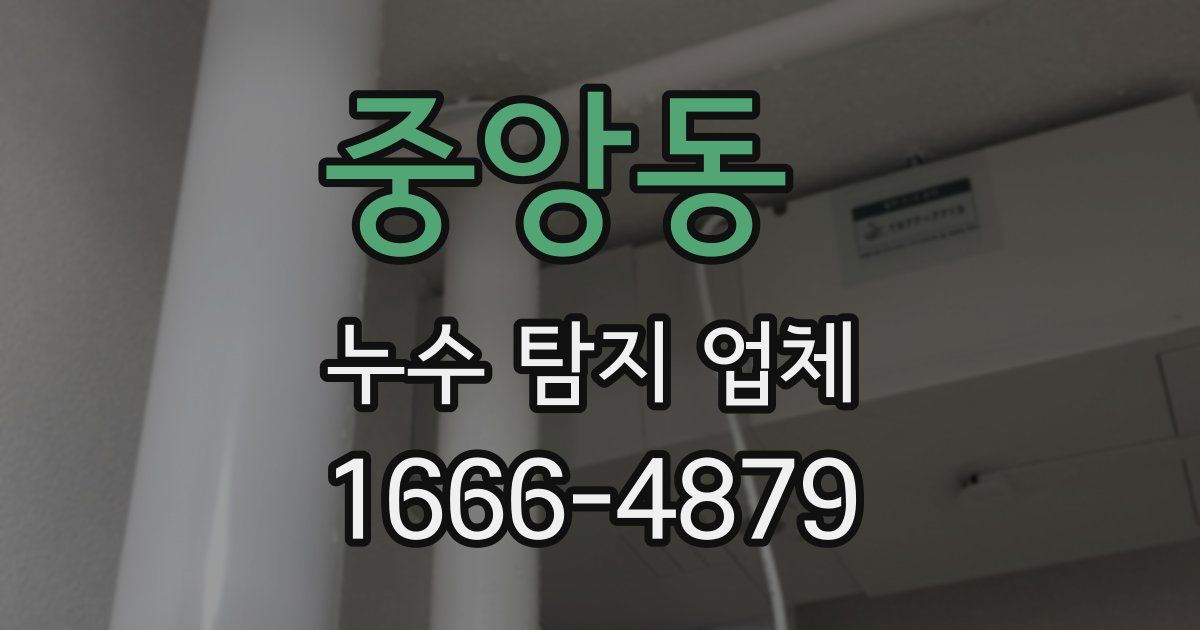 중앙동 누수 탐지 업체