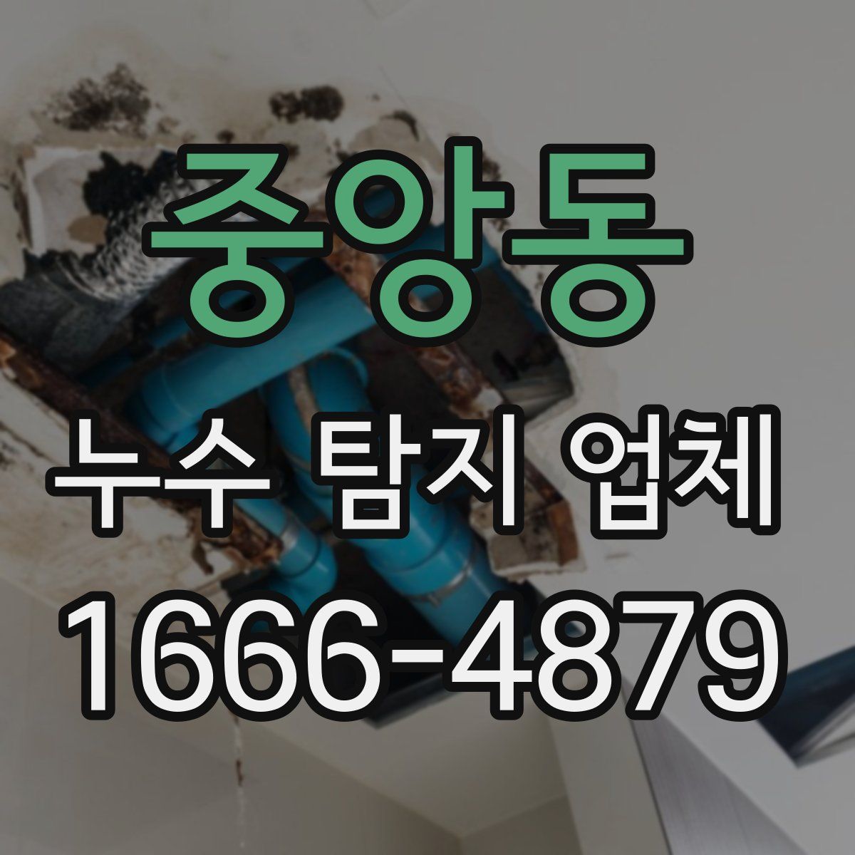 중앙동 누수 탐지 업체