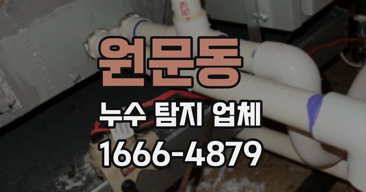 원문동 누수 탐지 업체