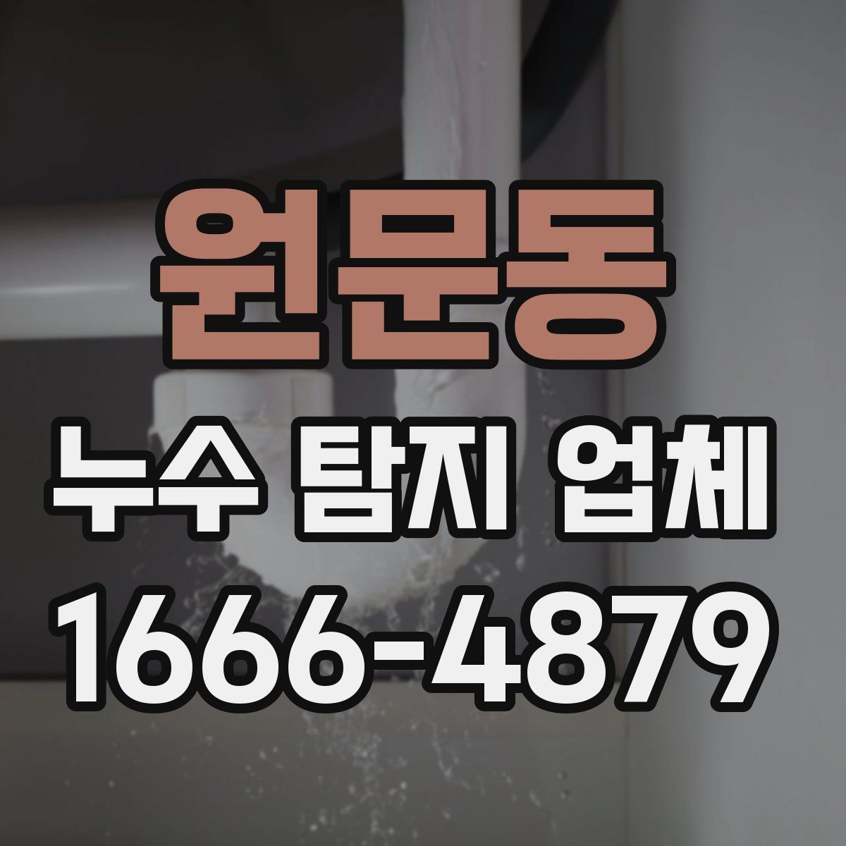 원문동 누수 탐지 업체