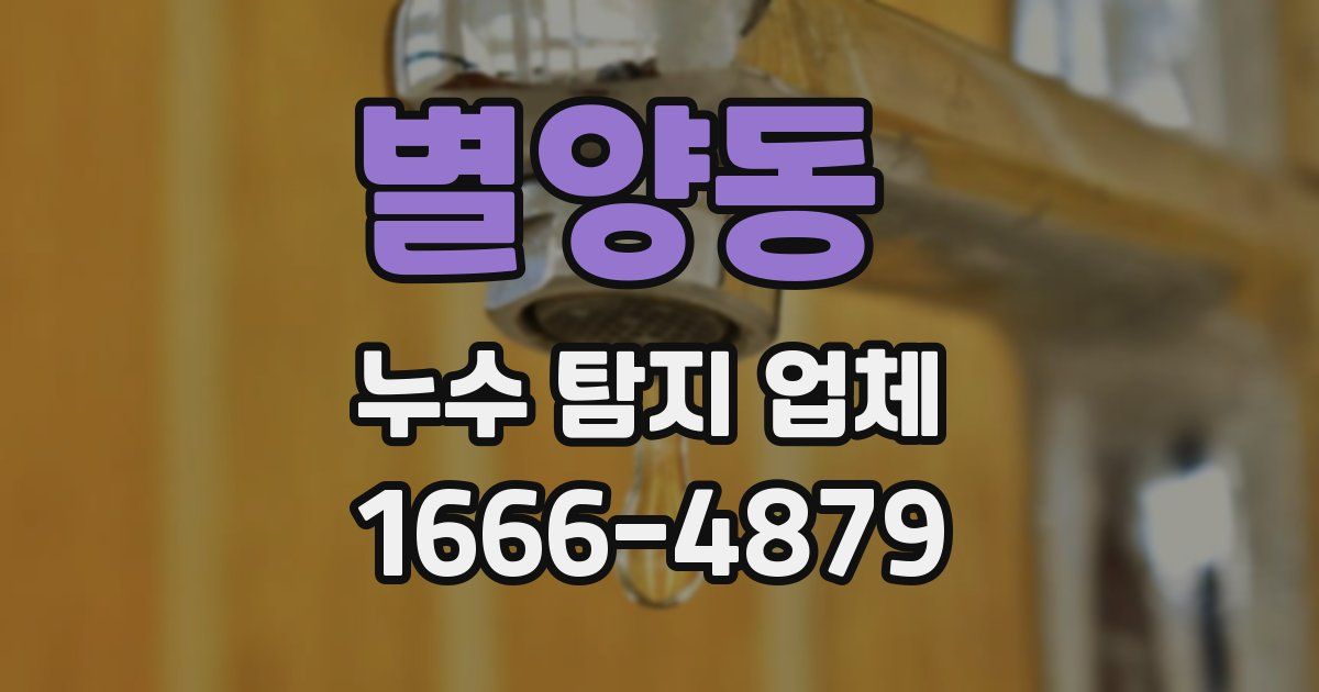 별양동 누수 탐지 업체