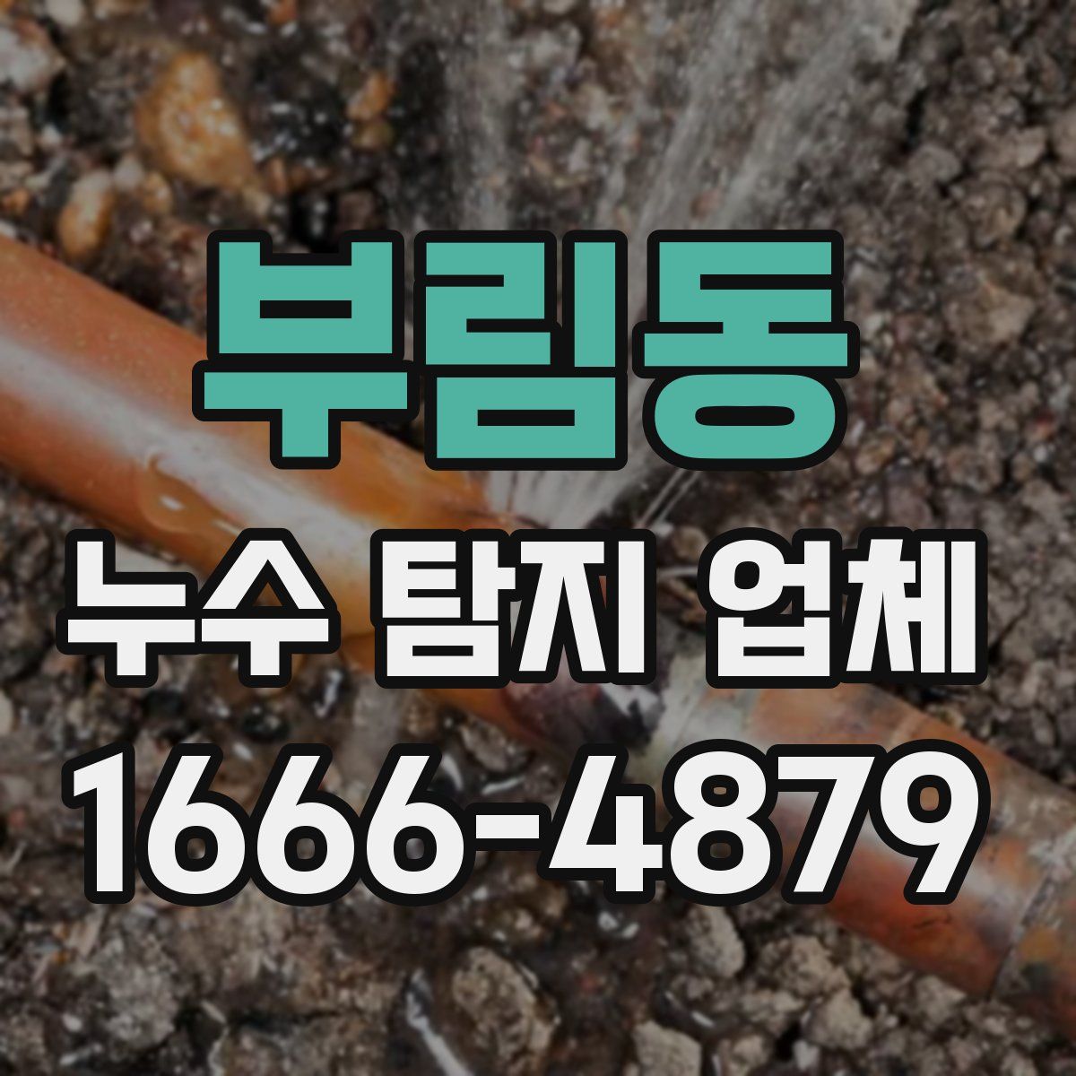부림동 누수 탐지 업체
