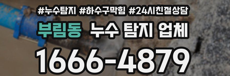 부림동 누수 탐지 업체