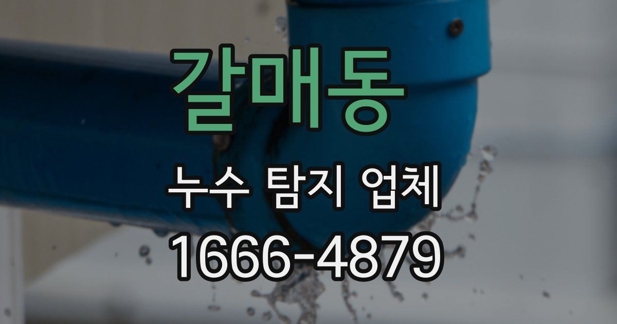 갈매동 누수 탐지 업체