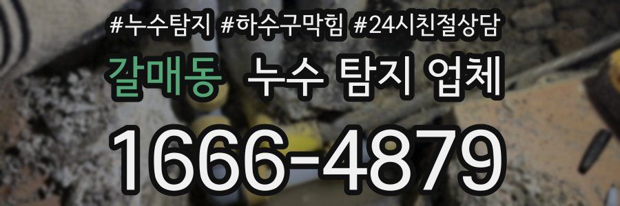 갈매동 누수 탐지 업체