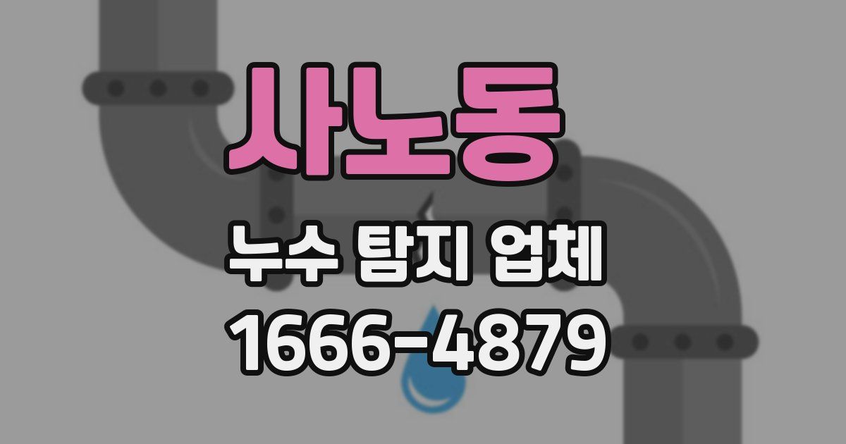 사노동 누수 탐지 업체