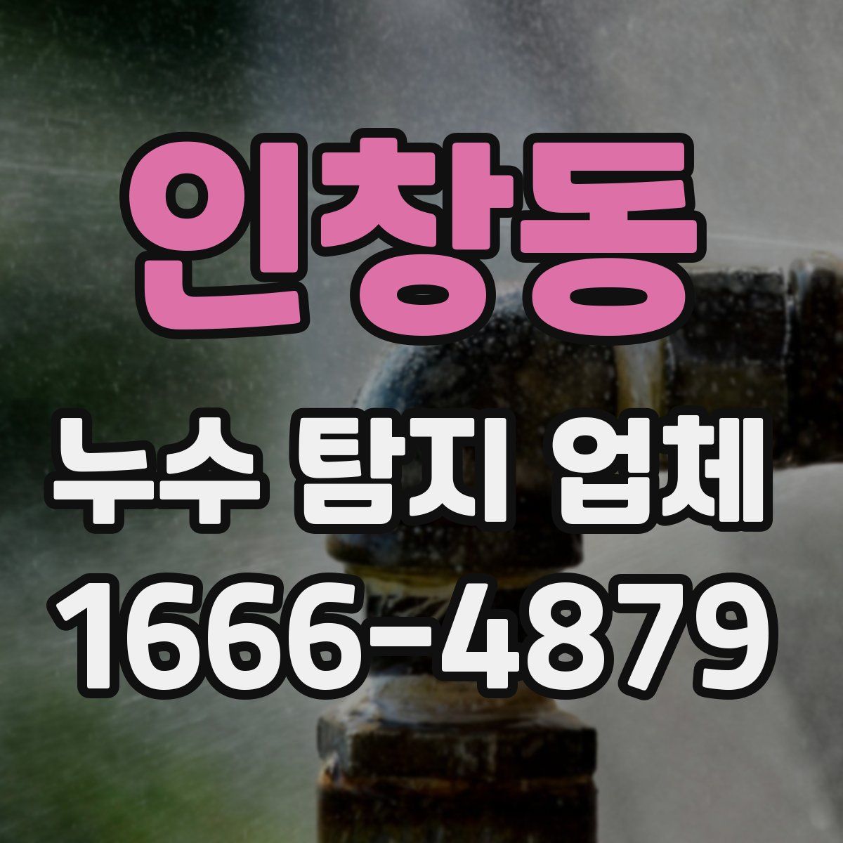 인창동 누수 탐지 업체